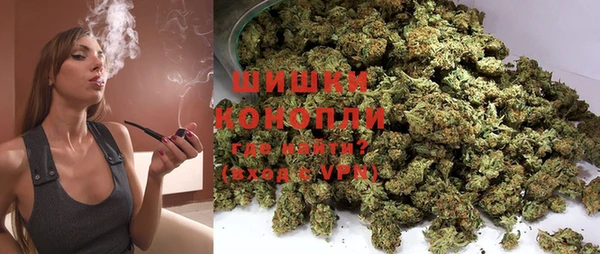 шишки Алзамай