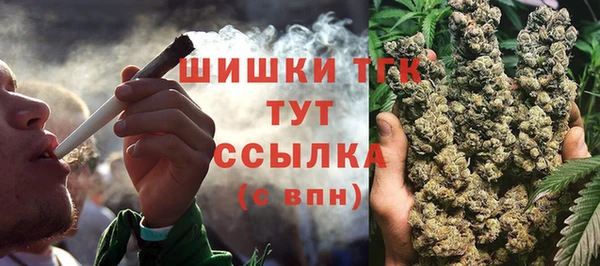 шишки Алзамай
