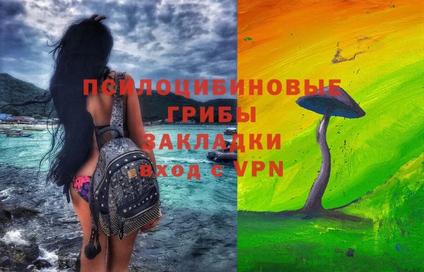 шишки Алзамай