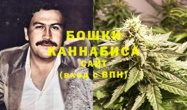 дурь Алексеевка