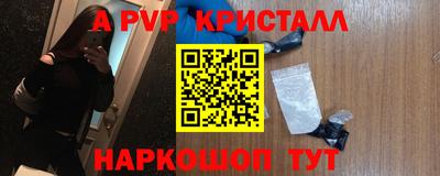 a pvp Гатчина