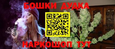 a pvp Гатчина