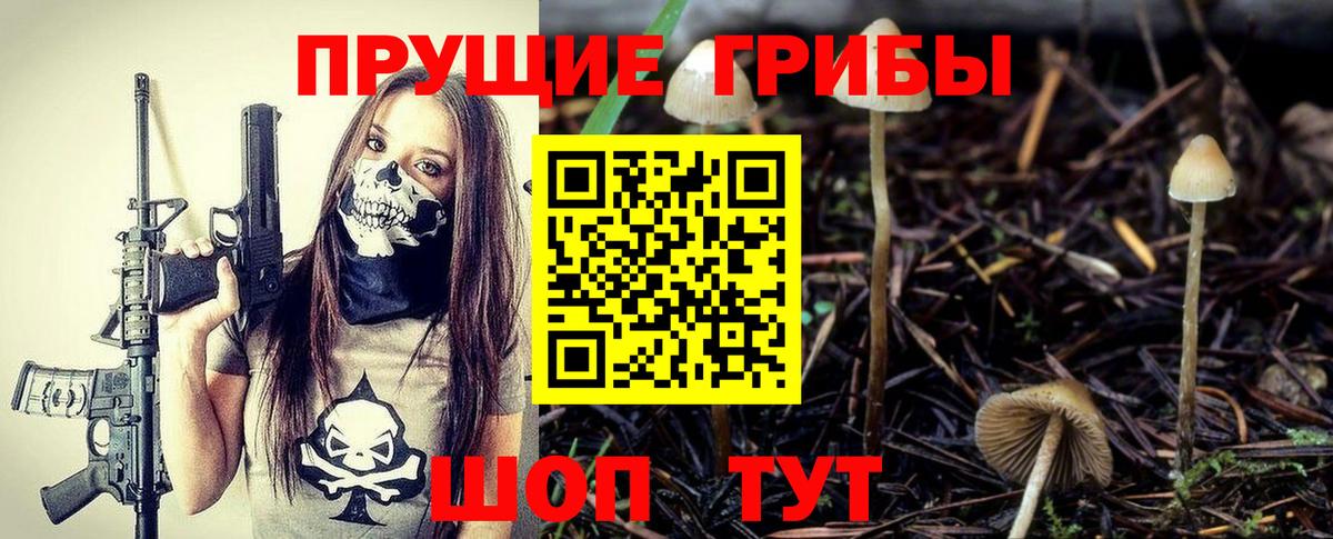 Заволжье  Псилоцибиновые грибы ЛСД  Вход с VPN 